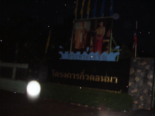 *****----- กิ่วคอหมาในวันที่ฝนพรำ(เจอสัตว์ประหลาด)---*****