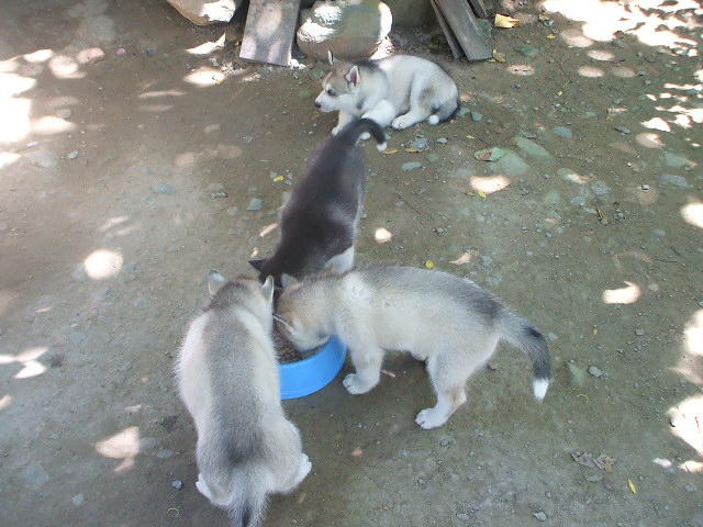 ขอมั่งดิ
 :umh: :umh: :umh: :umh: