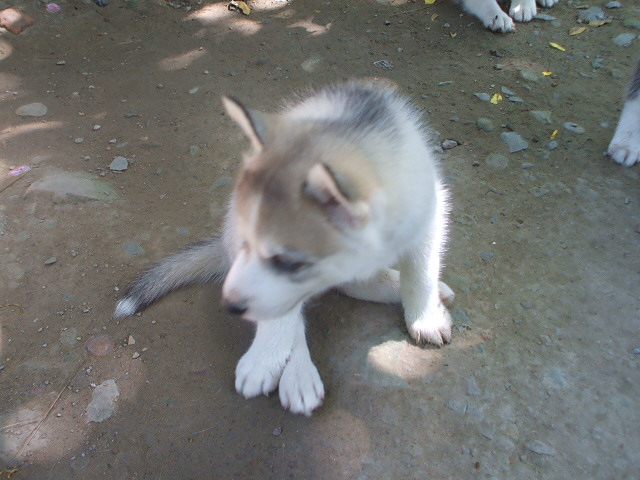 เจ้าตัวยุ่ง
 :laughing: :laughing: :laughing: :laughing: