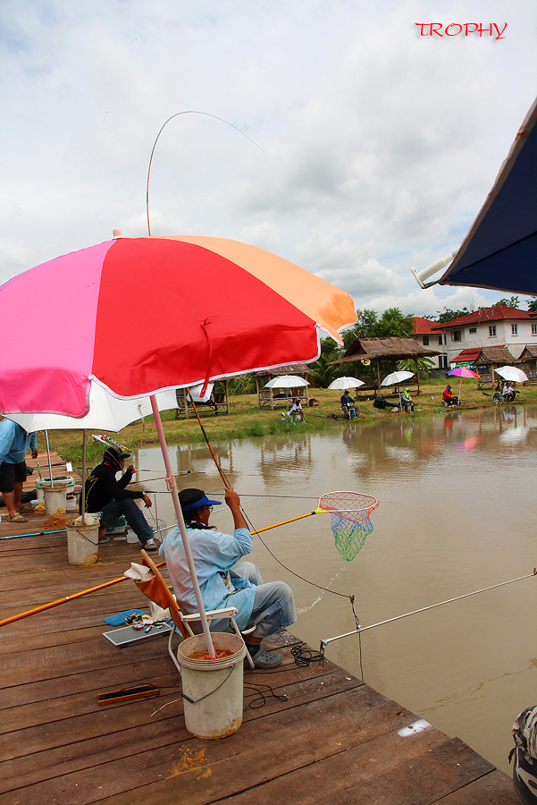 หัวบ่อน้าป๊อก ได้วัดปลาแล้วครับ วันนี้คงรอดแห้วแล้ว  :smile: