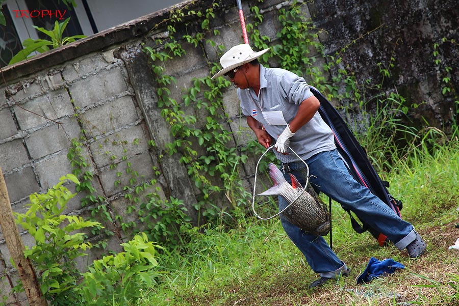 เอาไปชั่งแบบนี้ตัวเดียว ต้องพักยาวเลยครับ  :laughing: