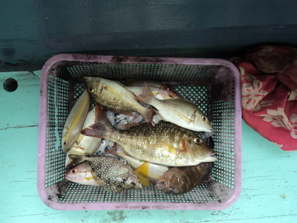 ตระกร้านี้ของน้าวุฒิ  ได้เพียบเลย