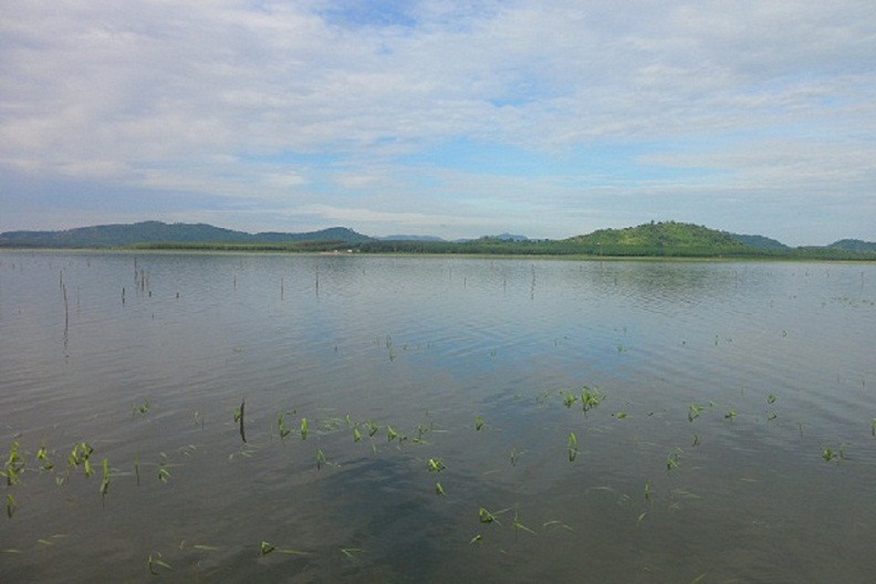 สวยสุดๆครับ  (   อ่านทุกความเห็นนะครับน้า ขอบคุณที่ติดตามครับ   )