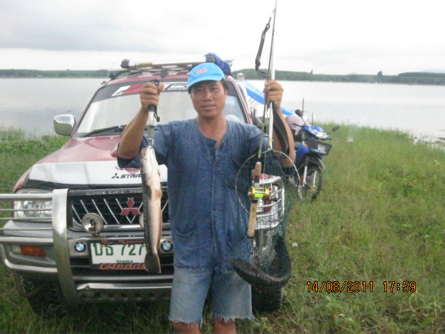 ค้ายๆชะโด rayong. นะคับ........ขอบคุณเจ้นุช rayong.ที่เอื้อเฟื้อไห้ชะโดกินรำมาสองตัว ( ผมจะทำปาล้าไว