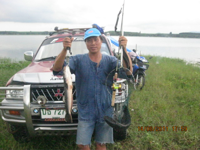 ค้ายๆชะโด rayong. นะคับ........ขอบคุณเจ้นุช rayong.ที่เอื้อเฟื้อไห้ชะโดกินรำมาสองตัว ( ผมจะทำปาล้าไว