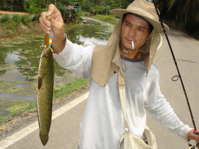 ตัวแรกคับ เรียกกำลังใจ :grin: :grin: