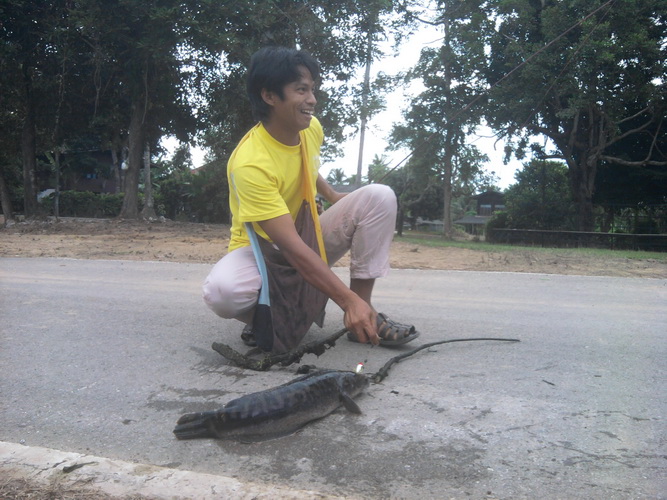 [q][i]อ้างถึง: ป้าแป้ง posted: 24-08-2554, 08:51:18[/i]

คราวหน้าโทรมาตามแป้งบ้างนะ

จะไปช่วยเก็