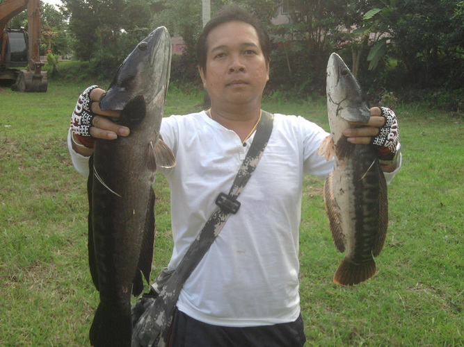 หล่อด้วยคนคร้าฟฟฟฟฟ :cool: