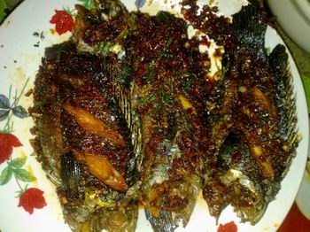หิวมากครับ ช่วยกันทำได้สภาพออกมาแบบนี้ ร้อนๆเลย
