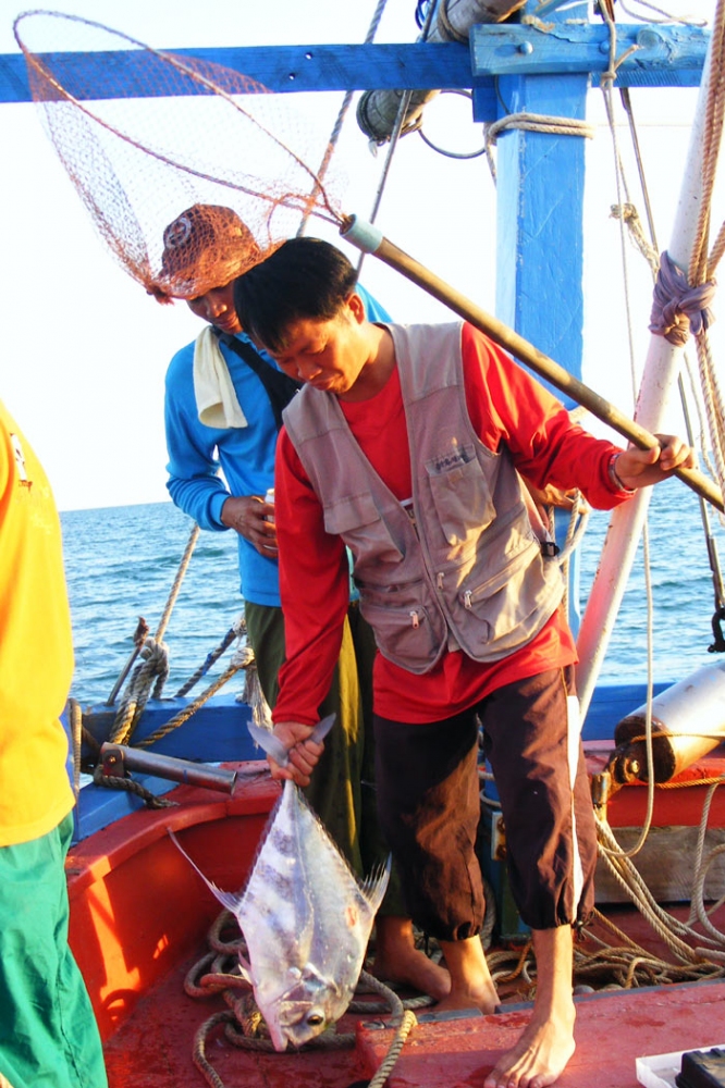   พอเรือจอด ใต๋ก็ทำกับข้าวยกมาเตรียมจะกินข้าวเย็น แต่สายตาป๋านะมองไปเห็นเจ้าตัวนี้เข้า
มันไหว้น้ำเห