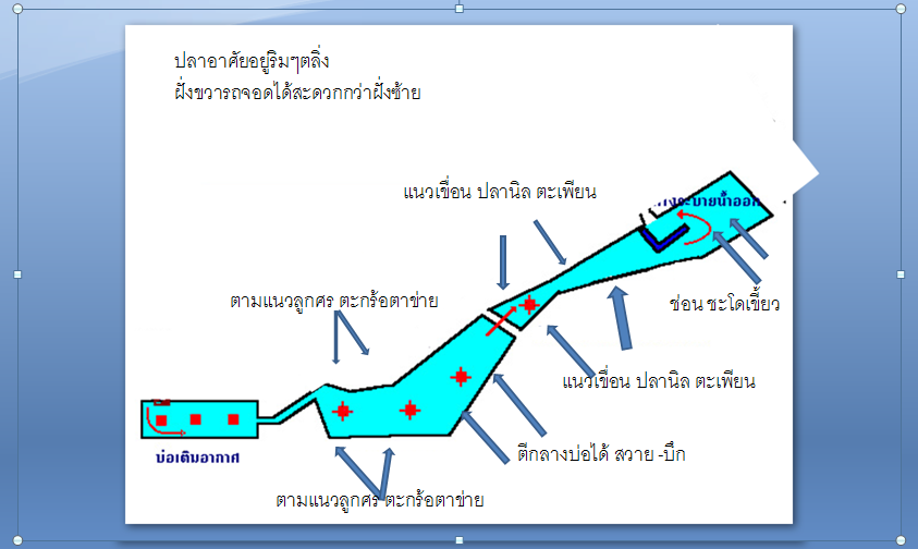 แผนภูมิ ตกปลาบึงพระราม 9 

[q][i]อ้างถึง: บิ๊กต้อม posted: 25-08-2554, 14:29:26[/i]

เห็นก่อสร้า