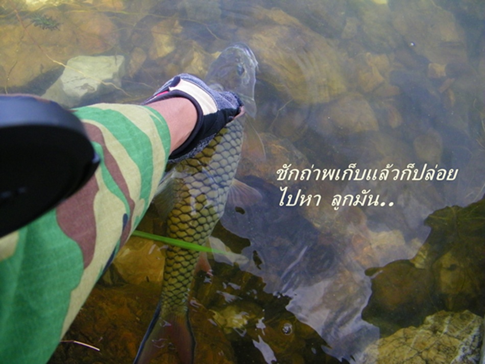 ปล่อยเหมือนเดิมครับ..