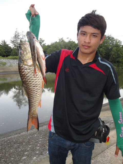 ตัวงามๆ สำหรับปราจีนบุรี