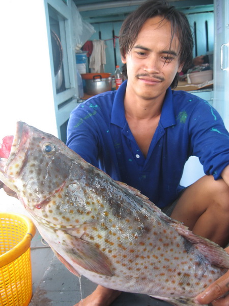 จุ่มโพ ทำปลาเก๋าราดพริก