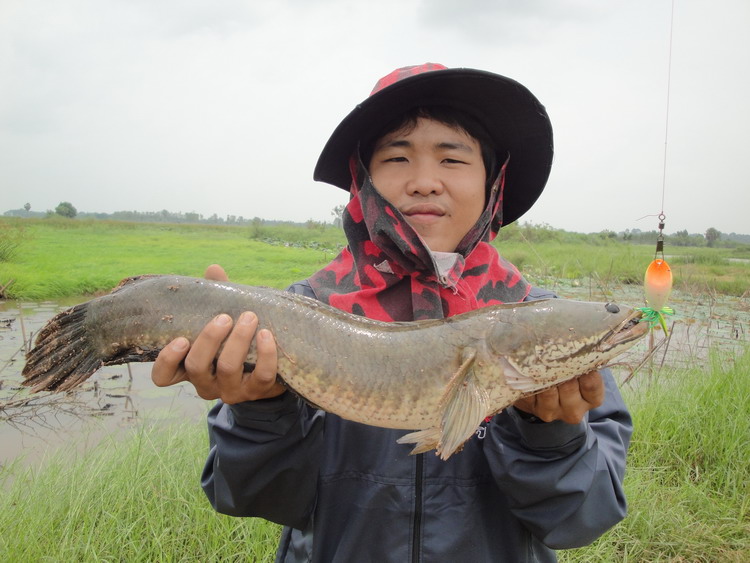 ผลงาน...ช่อนสวยๆๆ :grin: :grin: