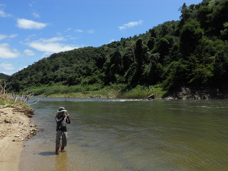 [q][i]อ้างถึง: ต่าย_actionlure posted: 26-08-2554, 14:19:37[/i]

+  ต้นน้ำแก่ง น้ำแรงจริง ๆ เลยจร้