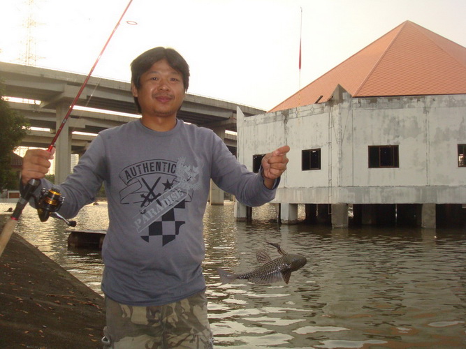 หนุ่มลาดพร้าว น้าอาร์ท ก็ตามมาสมทบในตอนเย็น(ติดฝน)
ได้วัดเจ๋งๆแต่หลุดไป เห็นบอกว่าตัวใหญ่ แต่สุดท้า