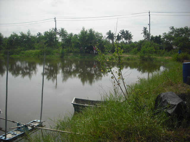 หมายแรกครับ ..................... เป็นบ่อเล็ก ๆ ตีได้ 2 ด้าน 

จะรอดมั้ยเนี่ย วันนี้  ............