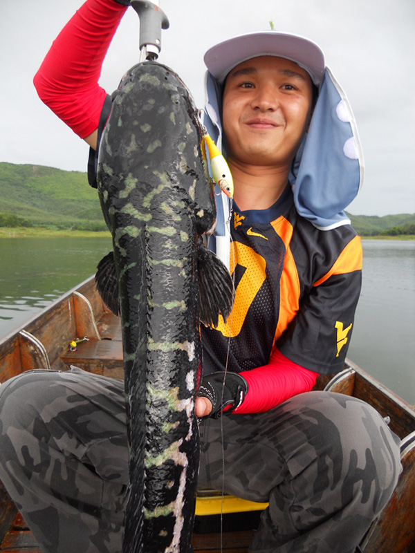 [q][i]อ้างถึง: penny posted: 29-08-2554, 13:37:24[/i]

คิดฮอดๆ ช่วงนี้มืออ่อน ไปโดนลูกครอกเขาแหลมร