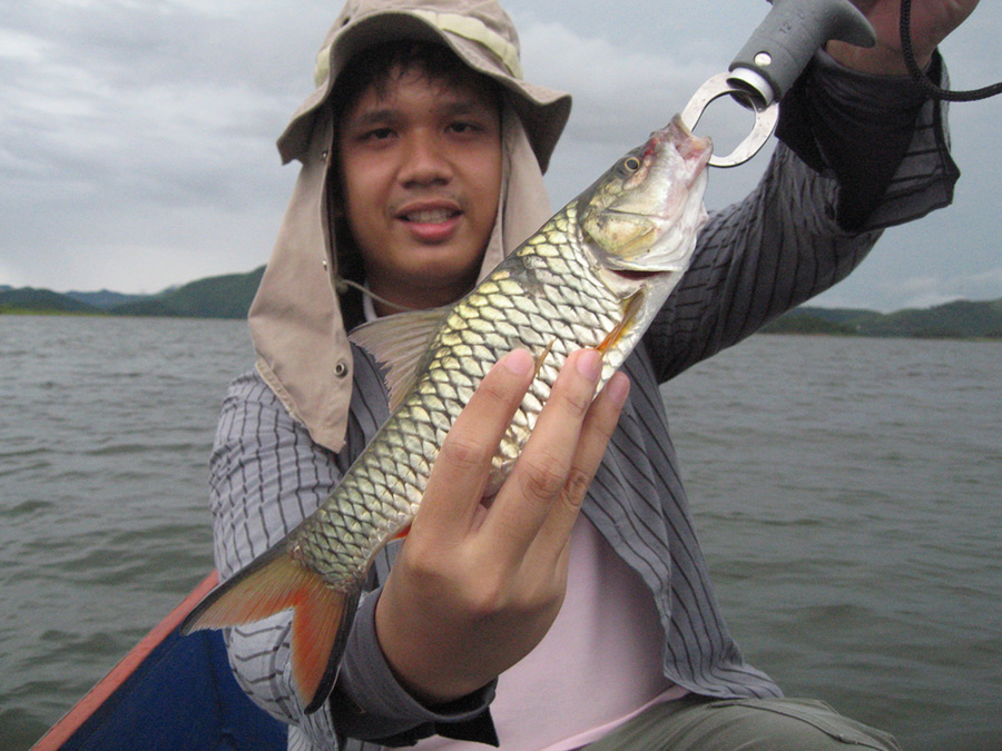 
   มีกระสูบเหมือนกันด้วย.... ตัวคุมลูกคลอก   :laughing: :laughing: :laughing: