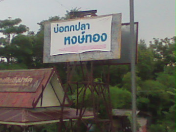คืน นี่กับบ่อหงษ์ทองตาคลี ภาค 2