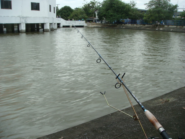 วันนี้ที่นี่อากาศดีจัง ไม่มีแดดแต่มีฝนปลอยๆ นี่ถ้าผมมีเสื่อกับหลังคากันฝนผมคงหลับไปแล้วหล่ะครับ :sle
