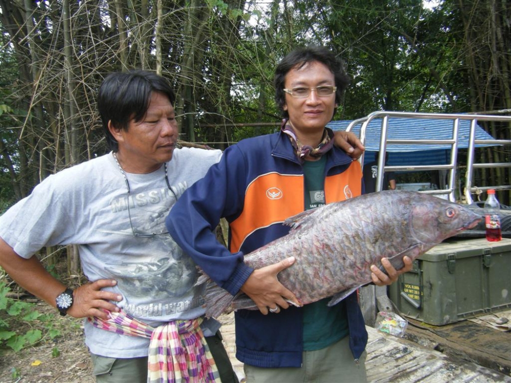 วันที่ 5 เดินทางกลับแค้มใหญ่ ได้เจอปลาหมู ไซร์ 11 kg ของคนงานในแค้มตัวนี้พี่เขาดักตะคัดได้แล้วก็เก็บ