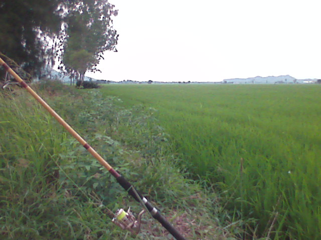 ของ ผม เอง ตีทุ่น คับ ปลา ตัว แรกมา ถึง หลุดเรย  :flag: :flag: :flag: