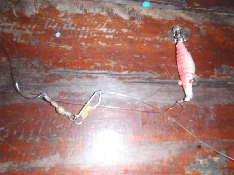 กุ้งปลอมตัวบนผูกสายสั้นๆหน่อยสัก 10  ซ.ม. กำลังสวย 
ถ้าผูกด้วยสายยาวๆ เวลาปล่อยไปในน้ำสายมันชอบพันก
