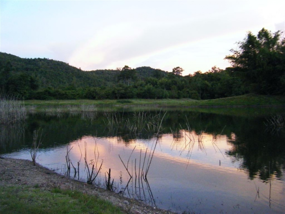 สวยแน๊ะ :grin: :grin: