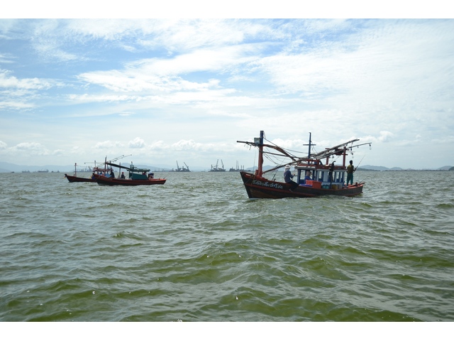 เรือจอดเพียบวันนี้เหมือนจะรู้ว่ามีปลาเข้า

.......................................................