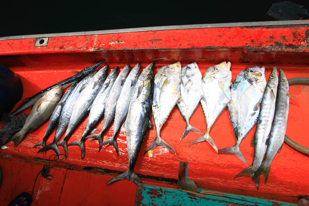 ยิ่งใกล้เที่ยงคลื่นยิ่งแรง ตกลงกันกลับดีกว่าถึงท่าเรือบ่ายโมง :grin: