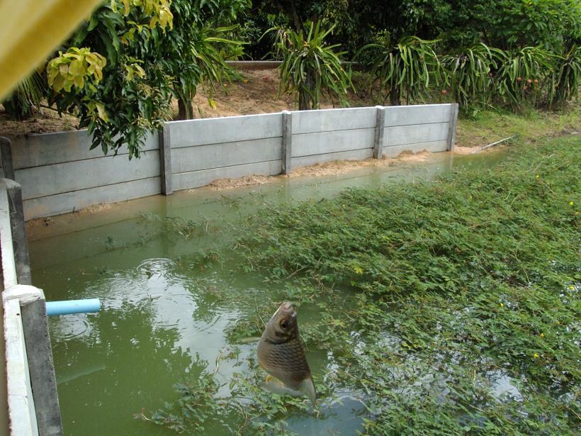 +++ :wall: :wall: :wall: :wall: :wall:++

+++โอ้ยยยไม่เอาแล้วไม่ทันปลาตะเพียร พอๆๆๆเลิกๆๆๆ :wall: 