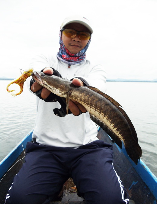 จัดไปอีกรูปครับ.................... :cool: :cool: :cool: :cool: