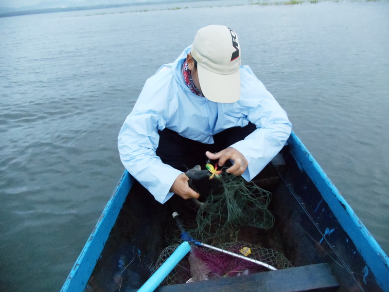 ขอบคุณมากครับน้าneenan ............... :smile: :smile: :cheer: :cheer:


หวัดดีครับน้าเอ๊มFisHiNg