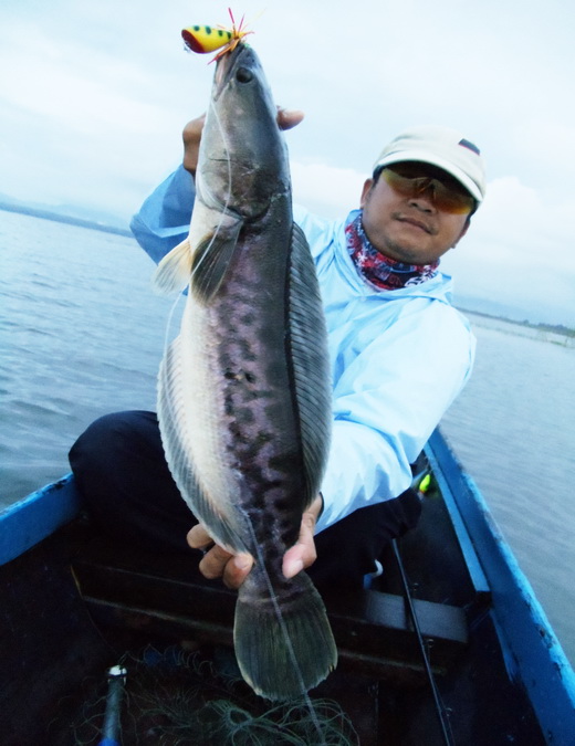 หล่อจริง.......จริ๊งๆๆๆๆๆๆๆๆ :cool: :cool: :cool: :laughing: :laughing: :laughing: :laughing: :laugh