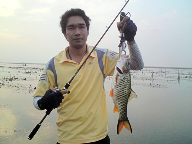 กระสูบบึงบอระเพ็ดครับน้า เห็นแล้วคิดถึงจัง :grin: :grin: :grin: :grin: :grin:
