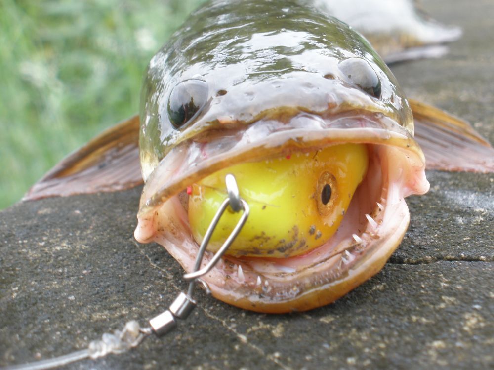  :grin: