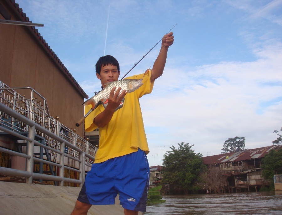 ขอ  1 รูป  จัดไปคาฟฟฟฟ   :cool: