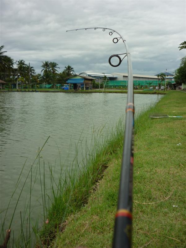 ฟับ !   ฟรี๊ดดดดด  