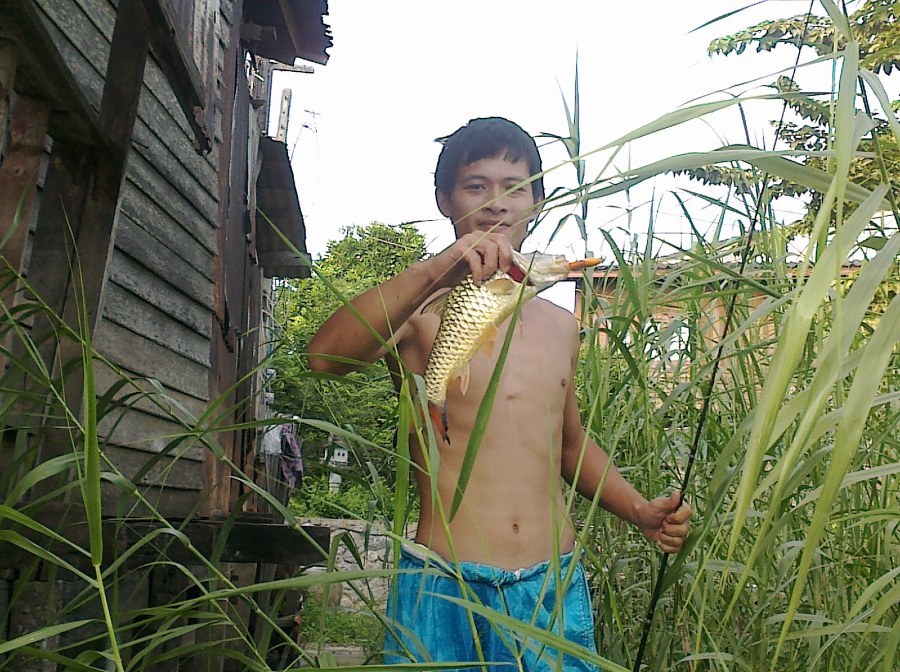 ตัวนี้ สี ทองอร่ามเลย  .......   นึกว่าอังเกย :laughing: :laughing: :laughing: :laughing: