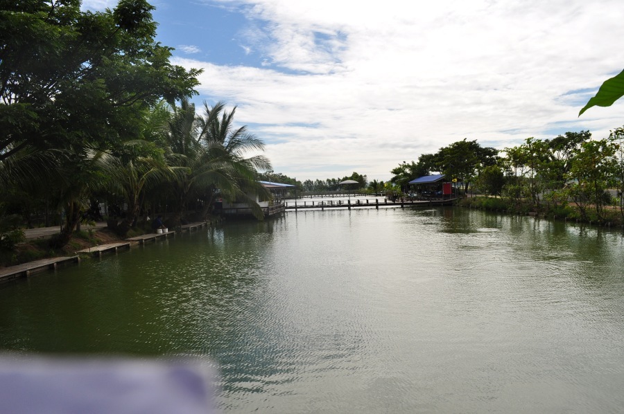 อีกรูปครับ พอเดินสำรวจ สถานที่ ก็ โห ปลาขึ้นน้ำทั่วเลยเต็มไปหมด  โห สังเกตุดู โหปลาสวาย นี่หว่าขึ้นน