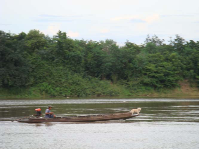 อยากเลี้ยงหมาแบบนี้มั่งจัง เด๋วมีเรือก่อนเหอะ  :love: :love: :love: :love: