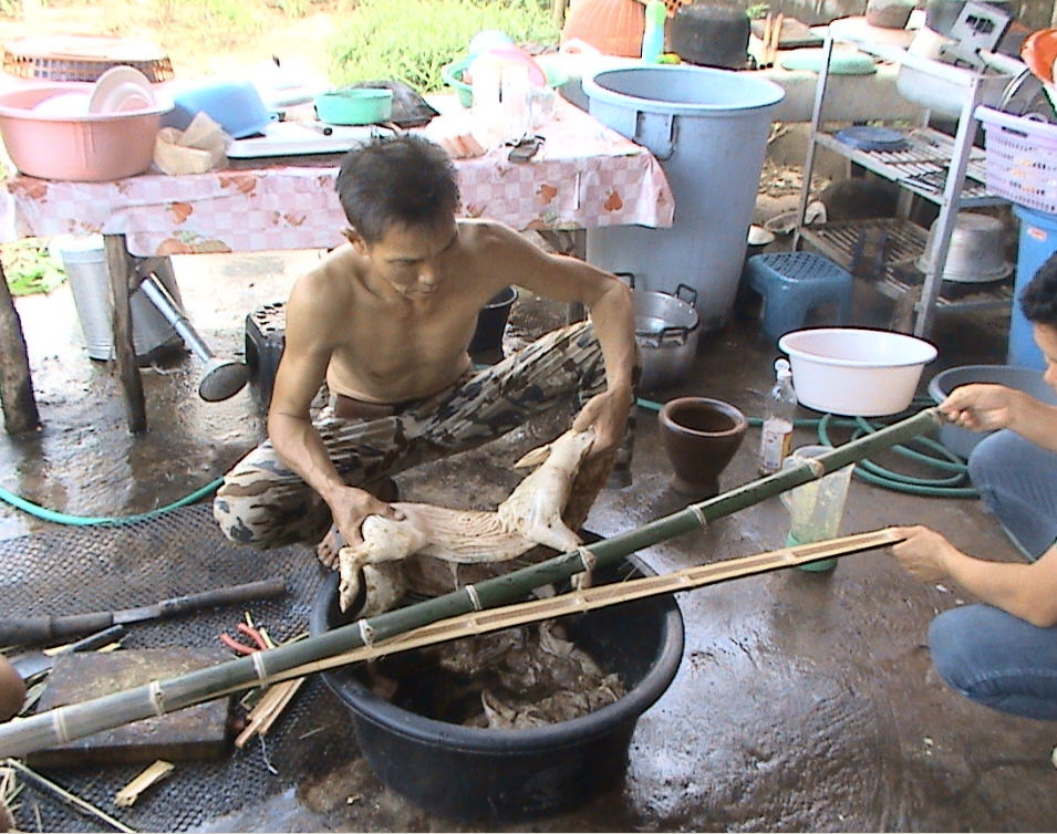 หลังจากรอพอประมาณ ก็ทำการนำน้องหมูมาใส่ไมหมุนครับ :love: :love: