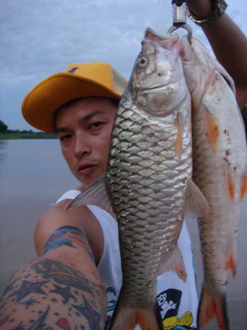 อู้ยยยยย กว่าจะถ่ายได้แต่ละภาพพพพ ลำบากแท้  :laughing: :laughing: :laughing: :laughing: :laughing: