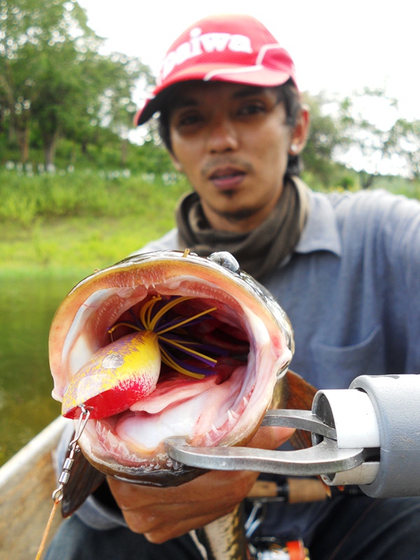 
    น้าอ้น กทม.  เค้าใช้เหยื่อ อ้นบ้านแนบเหมือนกัน...........  เต็มคำเลย  :love: :love: :love: