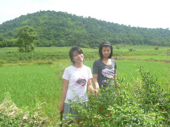 สาวๆ ไร่พริกอะครับ


 :love: :love:
