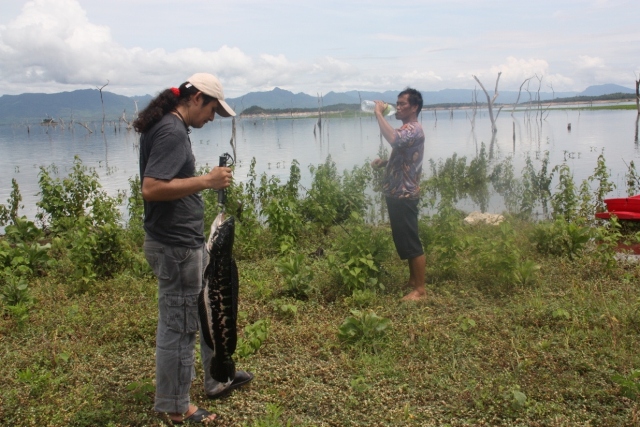 อีกสักภาพครับ...กับทีมงาน .K.K fishing team ขอบคุณพี่ๆน้าสมาชิกและทีมงานสยามฟิชชิ่งทุกท่านครับที่ติด