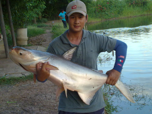 เจ้าตัวนี้เป็นตัวสุดท้ายของตอนเย็�