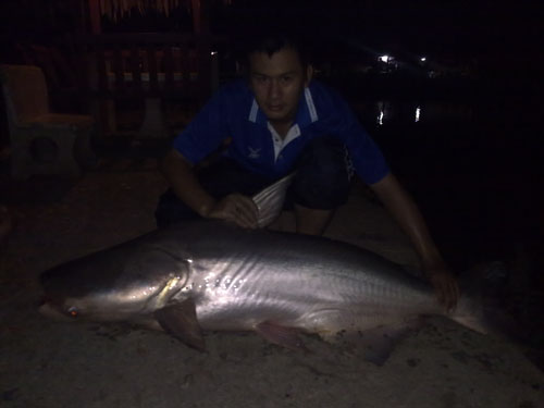ขอลาด้วยภาพจากบ่อ ดอนมะเกลือ ครับ ไ�